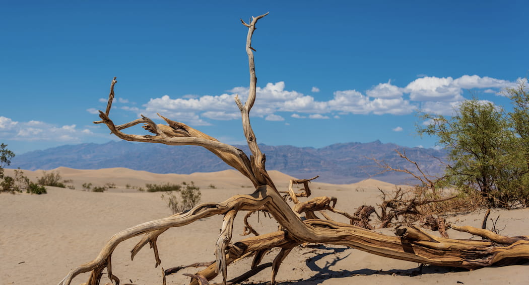 Prema podacima WMO-a, trenutni rekord za najvišu izmjerenu temperaturu na Zemlji drži Dolina smrti s 56.7°C izmjerenih 10. srpnja, 1913.