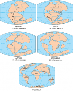 Interactive map of Pangea / Pangaea with borders and a 3D globe